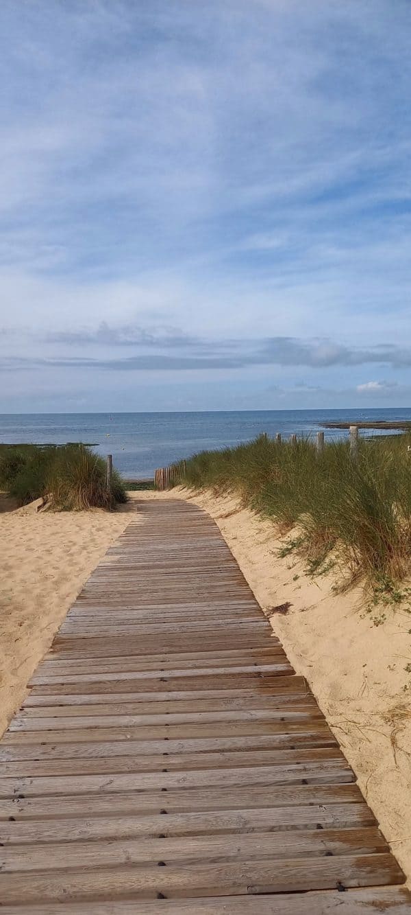 Accompagnement holistique en ligne